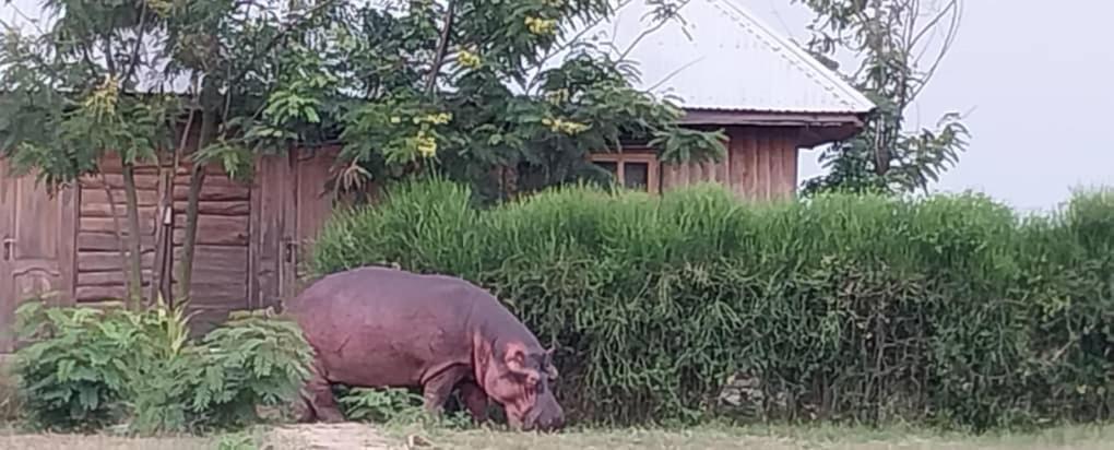 Tembo Safari Lodge Katunguru Eksteriør bilde